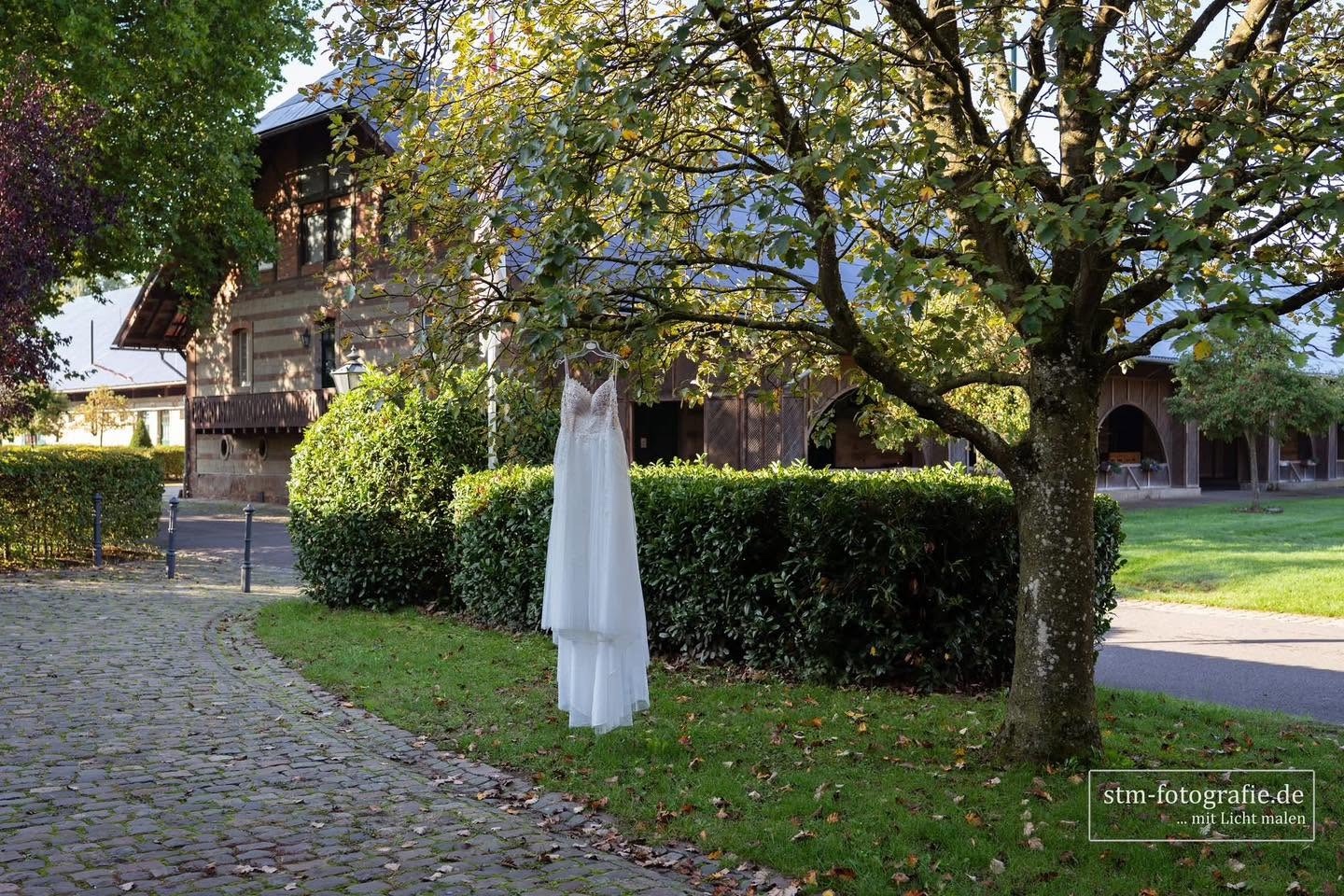 Brautkleid hängt vor einem Baum am Ort der Hochzeit